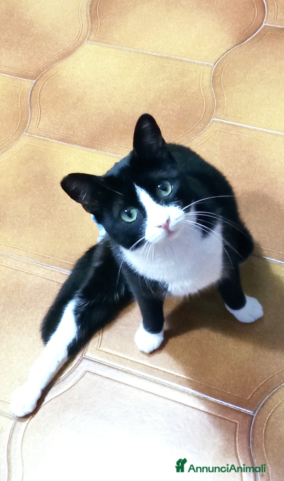 Immagine della galleria {{count}}