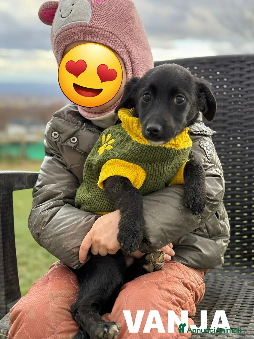 Meticcio cani in regalo: VANJA, scricciola impaurita in canile! TG PICCOLA - Annuncio 2