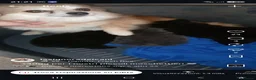 Spitz cani in vendita: Spitz tedesco  - Annuncio 1
