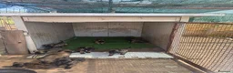 Pastore Belga cani in vendita: Splendidi cuccioli Pastore Belga Malinois - Annuncio 12