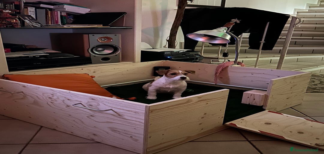 Immagine della galleria {{count}}