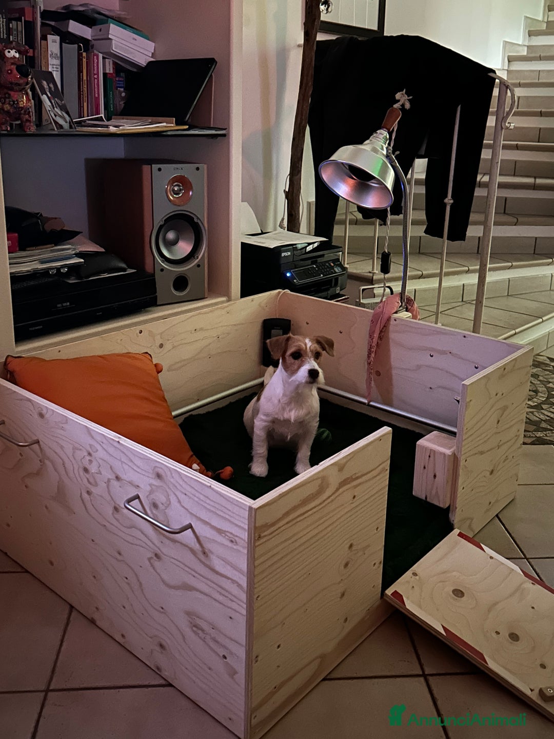 Immagine della galleria {{count}}