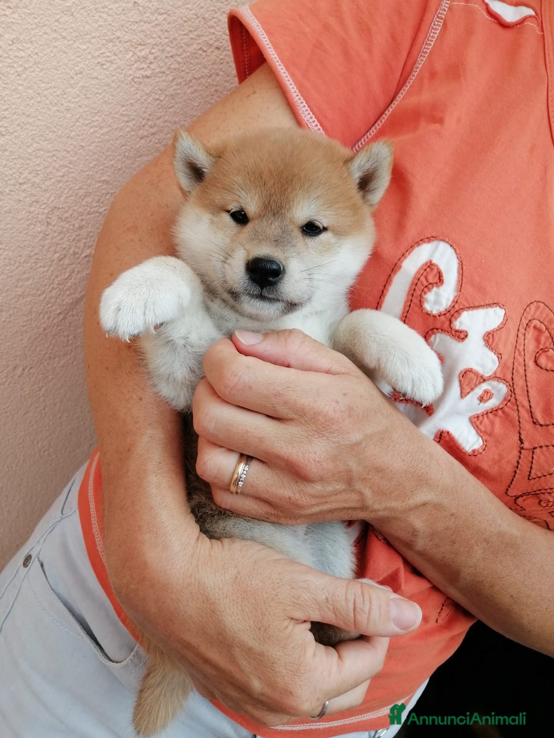 Immagine della galleria {{count}}