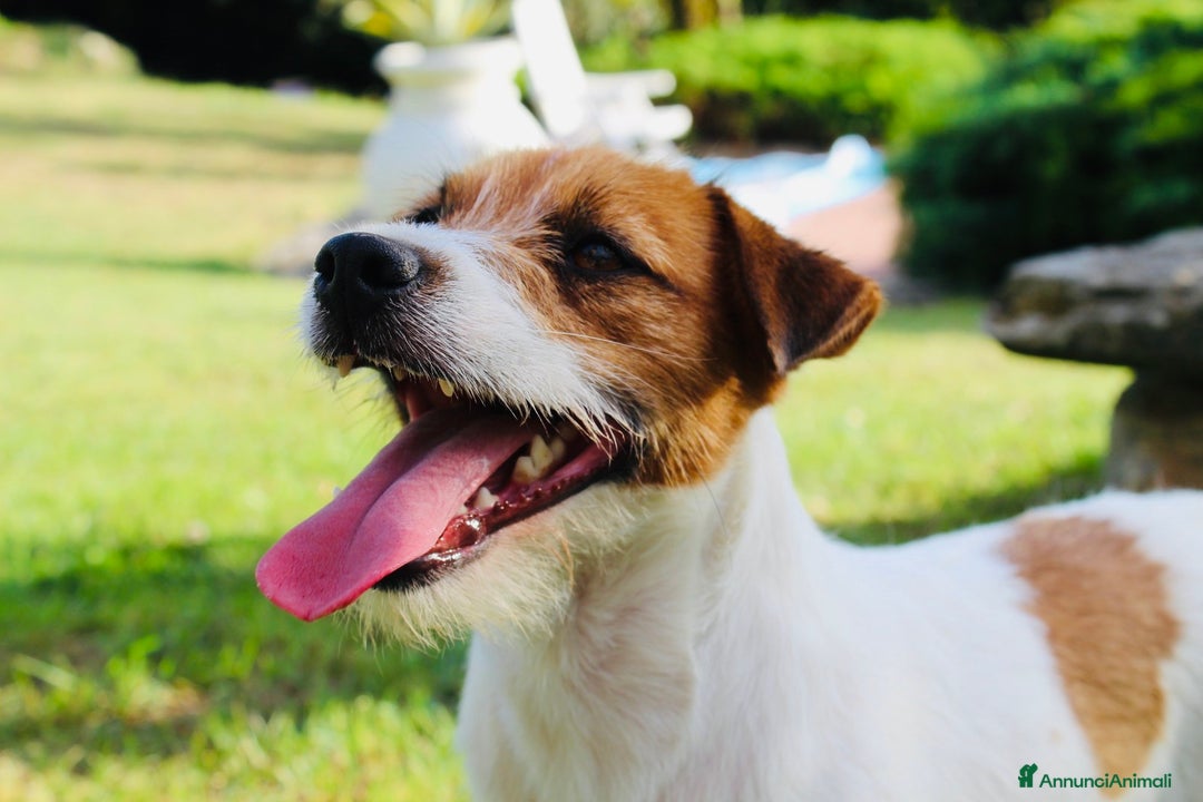 Immagine della galleria {{count}}