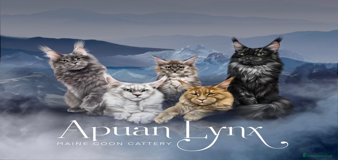 Immagine della galleria {{count}}