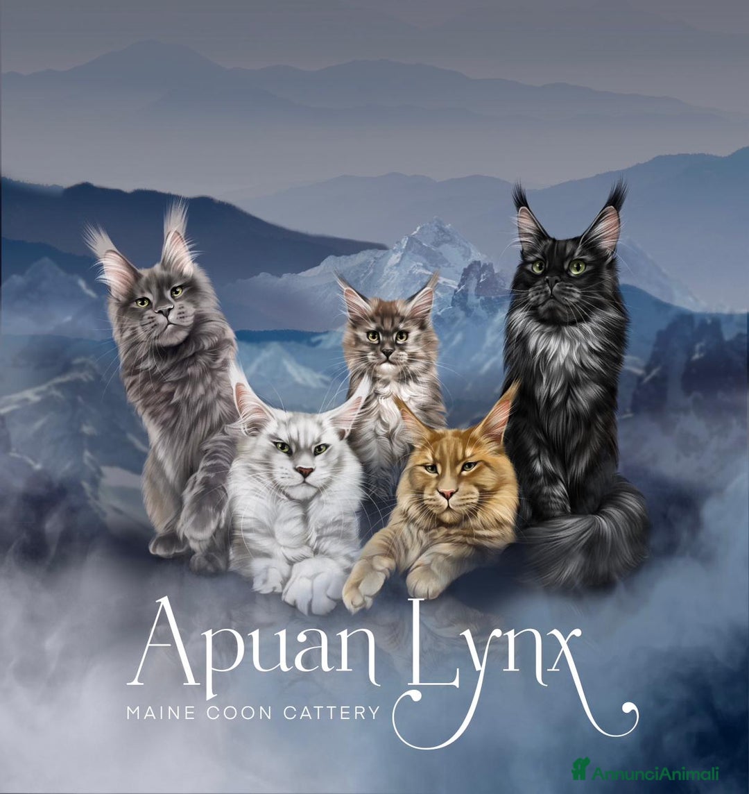 Immagine della galleria {{count}}