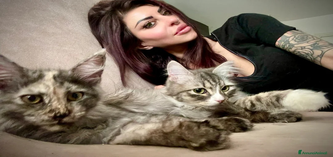 Immagine della galleria {{count}}