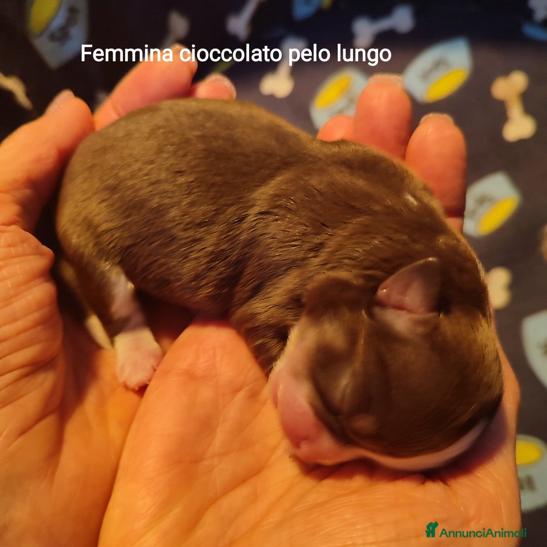 Immagine della galleria {{count}}