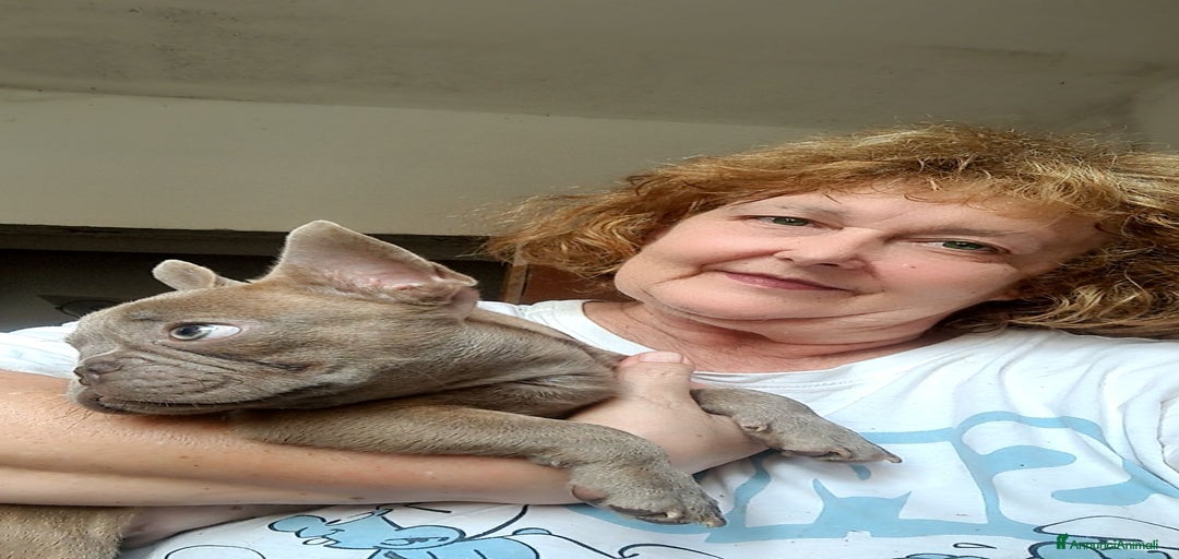 Immagine della galleria {{count}}