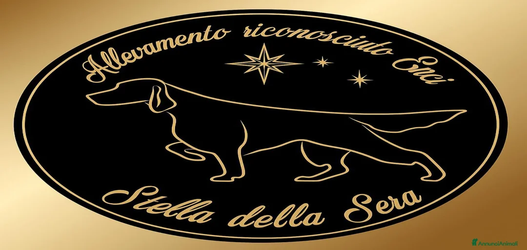 Immagine della galleria {{count}}