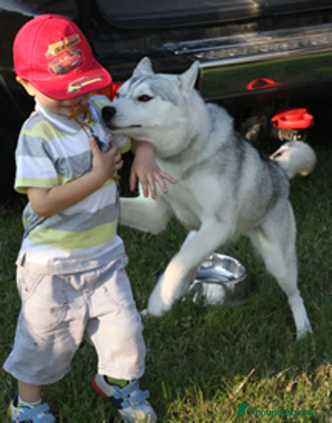 Immagine della galleria {{count}}