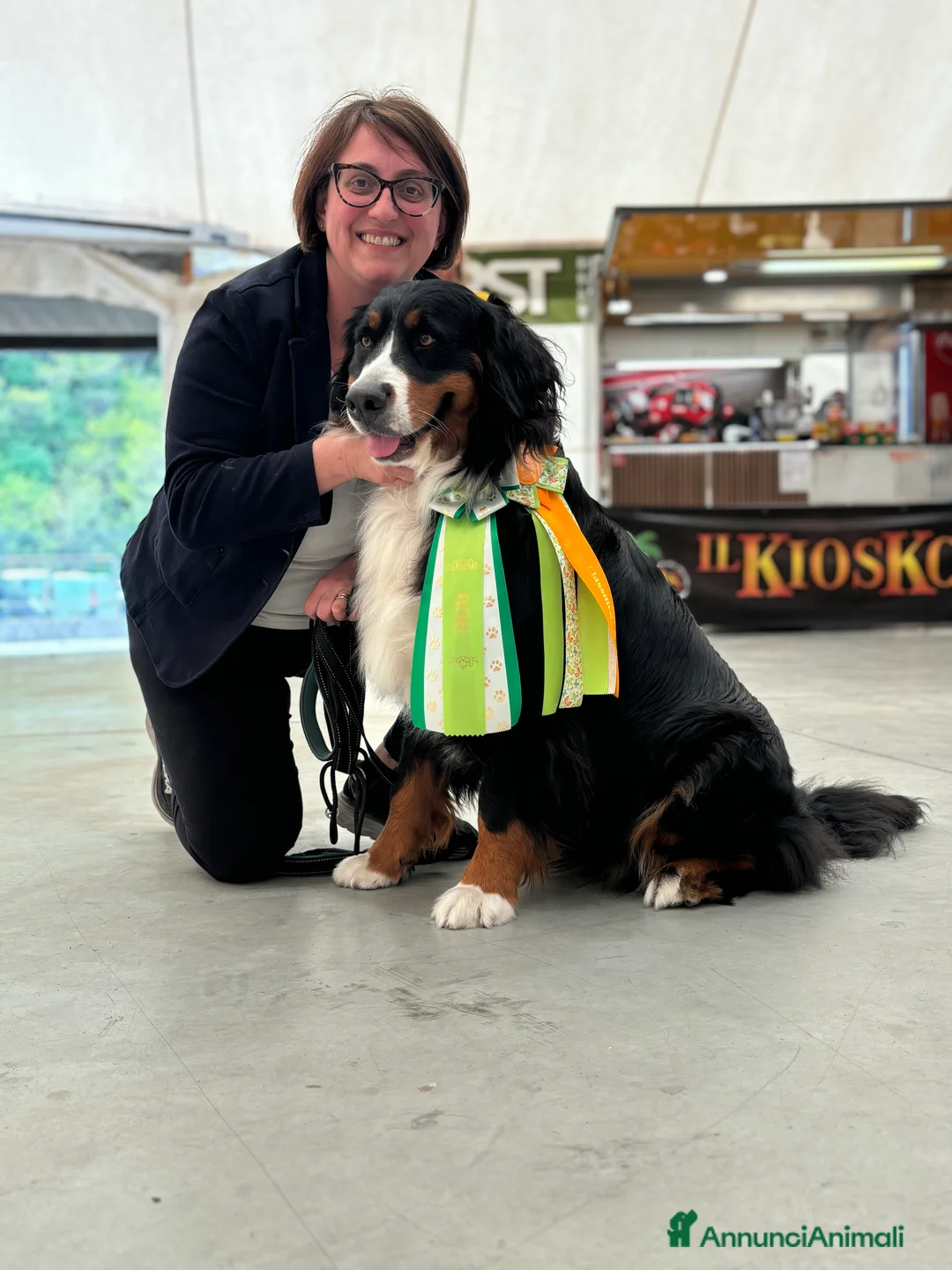 Bovaro del Bernese cani in vendita: CUCCIOLATA IN ARRIVO SI PRENOTANO CUCCIOLI - Annuncio 1