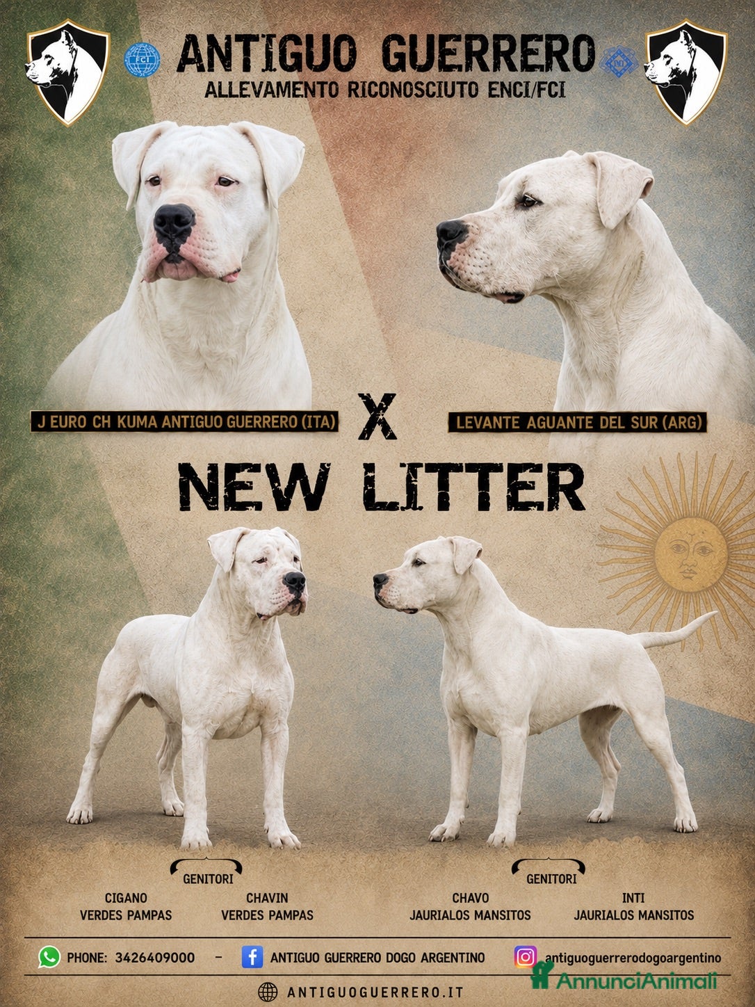 Dogo Argentino cani CUCCIOLI DOGO ARGENTINO - Annuncio 1