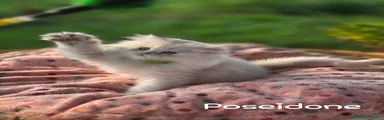 POSEIDONE