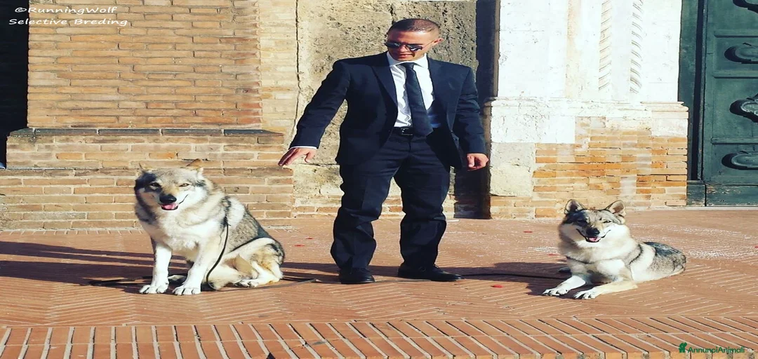 Immagine della galleria {{count}}