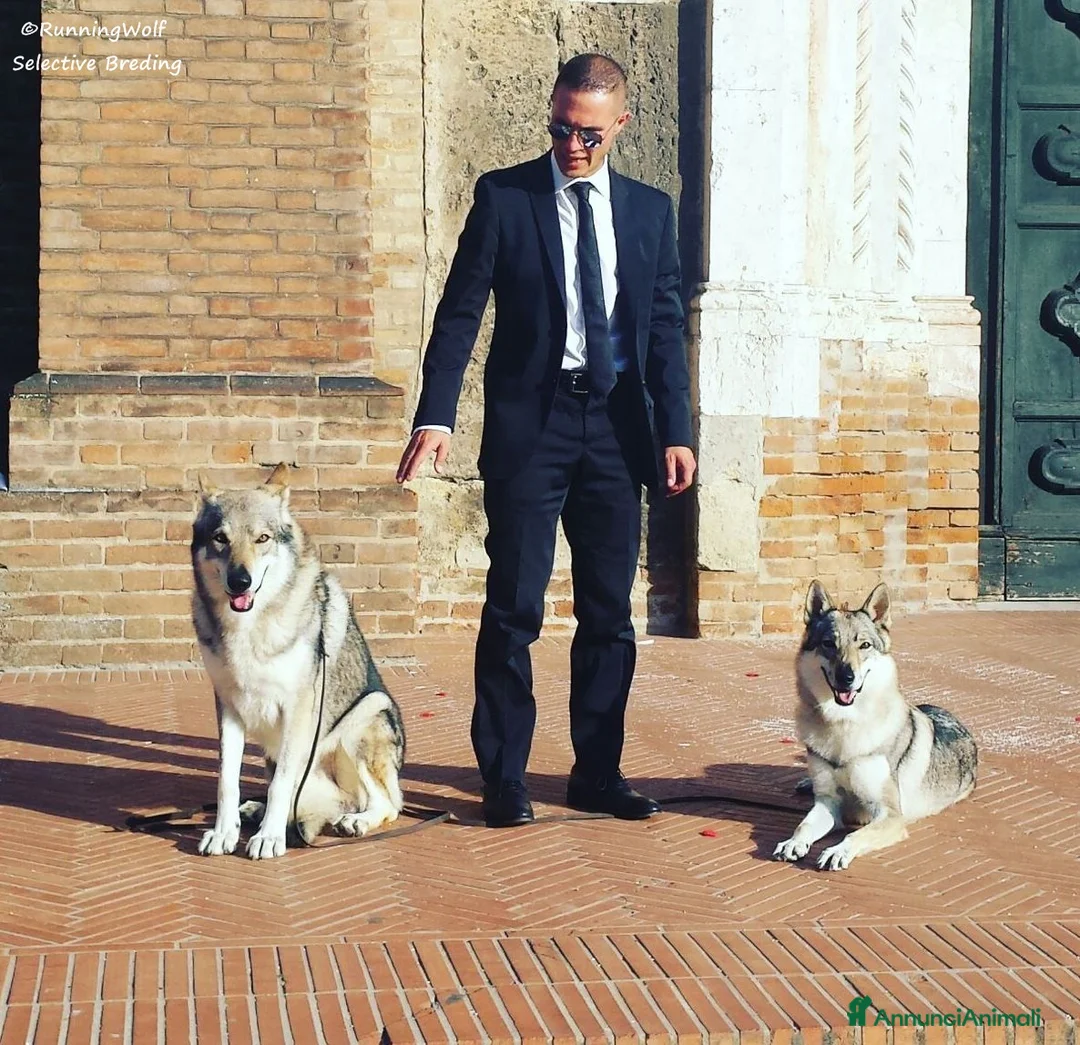 Immagine della galleria {{count}}