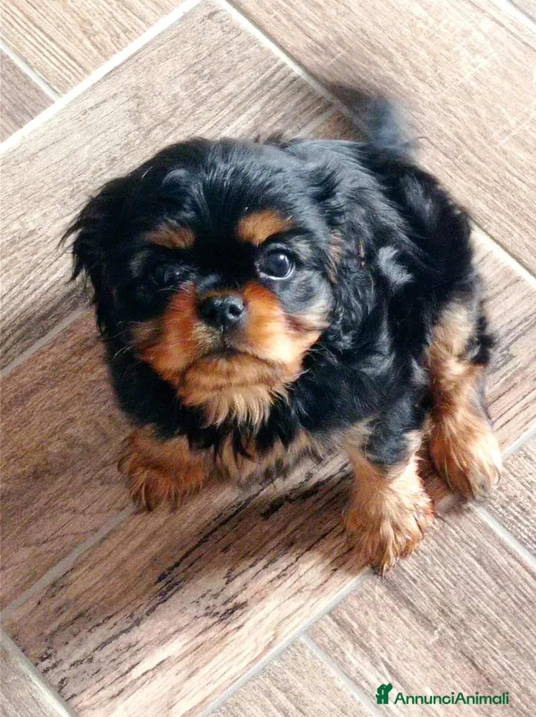 Immagine della galleria {{count}}