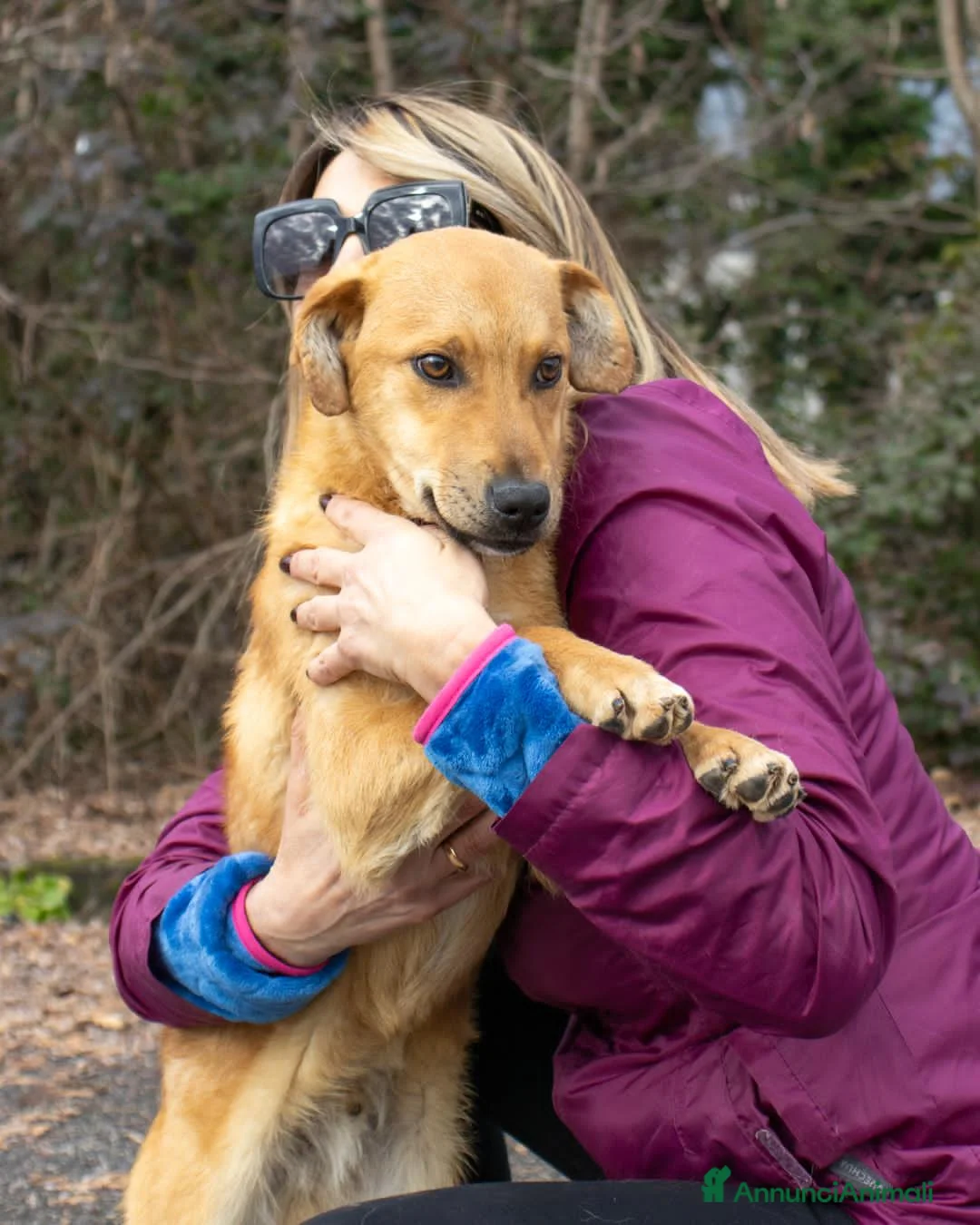 Altre razze cani in regalo: ugo 6 mesi - Annuncio 2