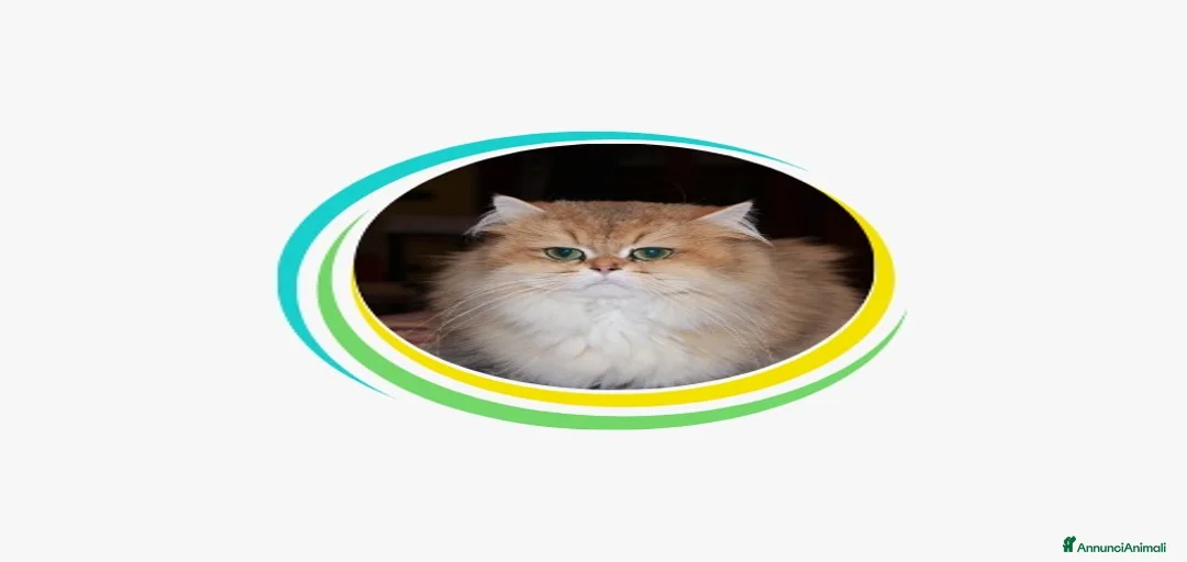 Immagine della galleria {{count}}