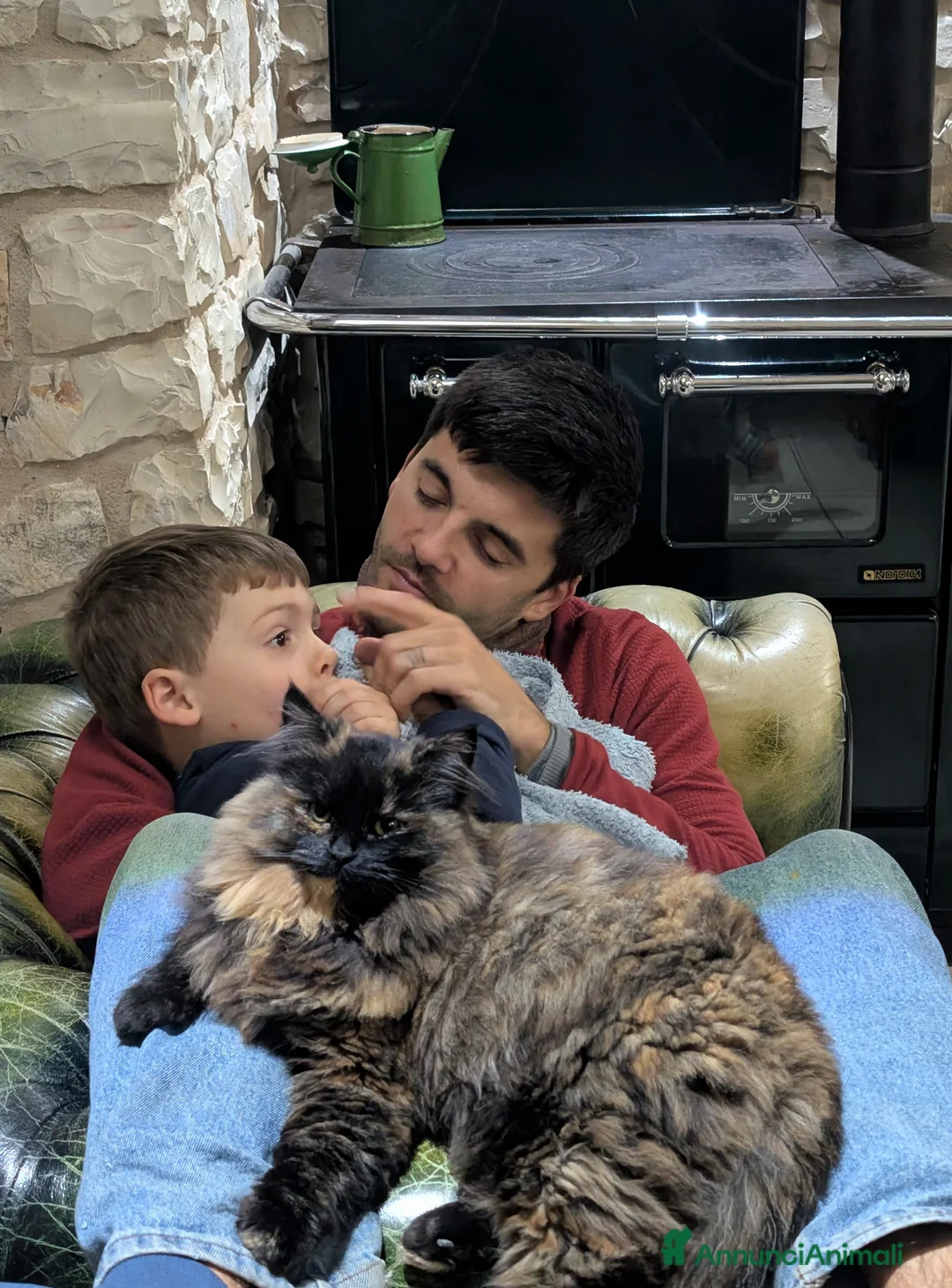 Immagine della galleria {{count}}