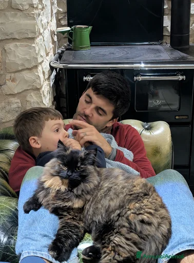 Immagine della galleria {{count}}