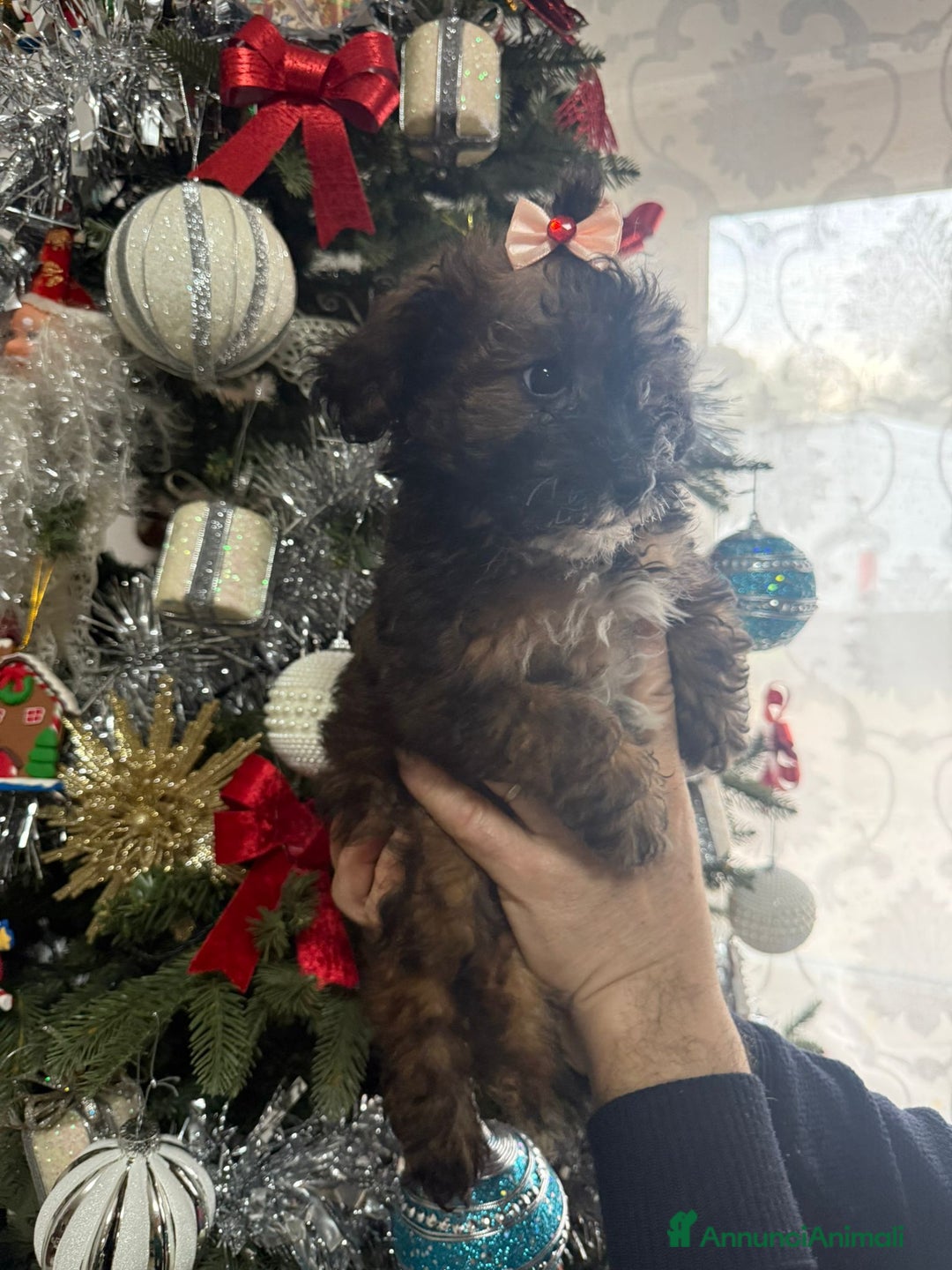 Immagine della galleria {{count}}