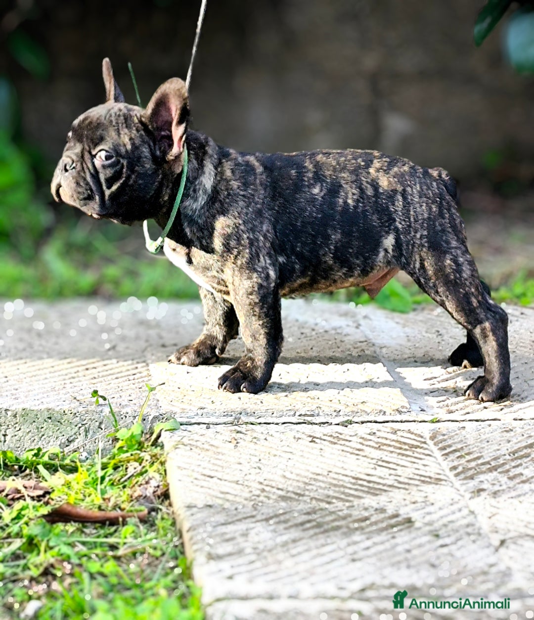 Immagine della galleria {{count}}