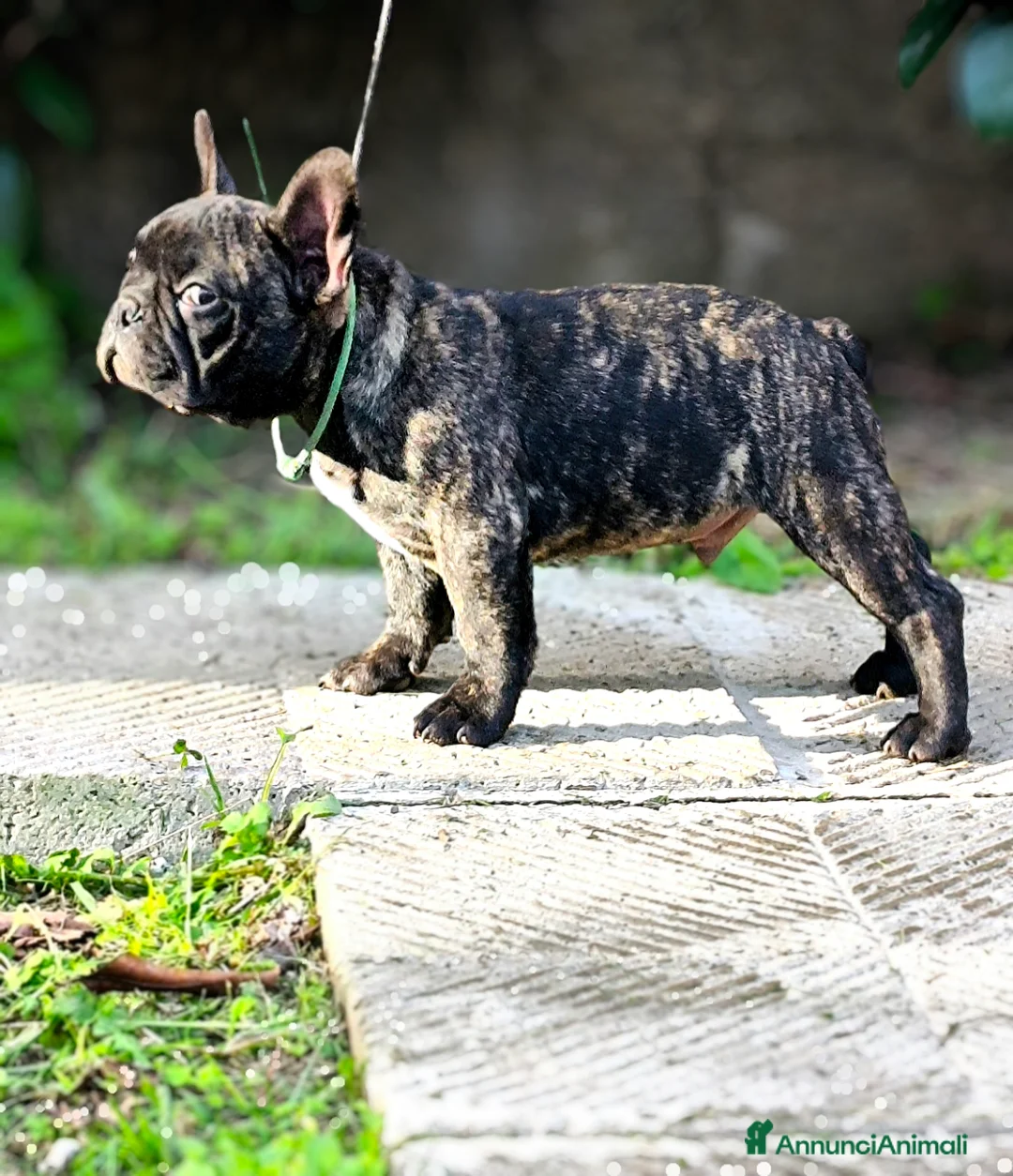 Immagine della galleria {{count}}