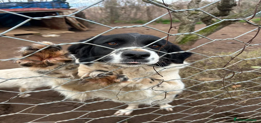 Immagine della galleria {{count}}