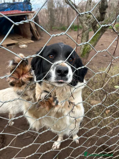 Immagine della galleria {{count}}