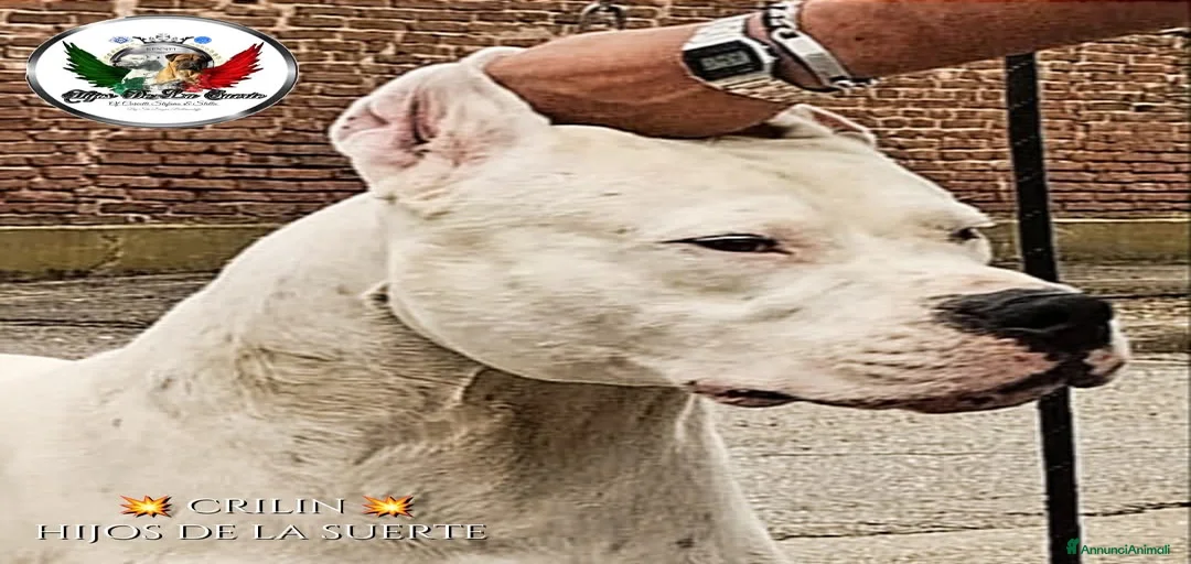 Immagine della galleria {{count}}