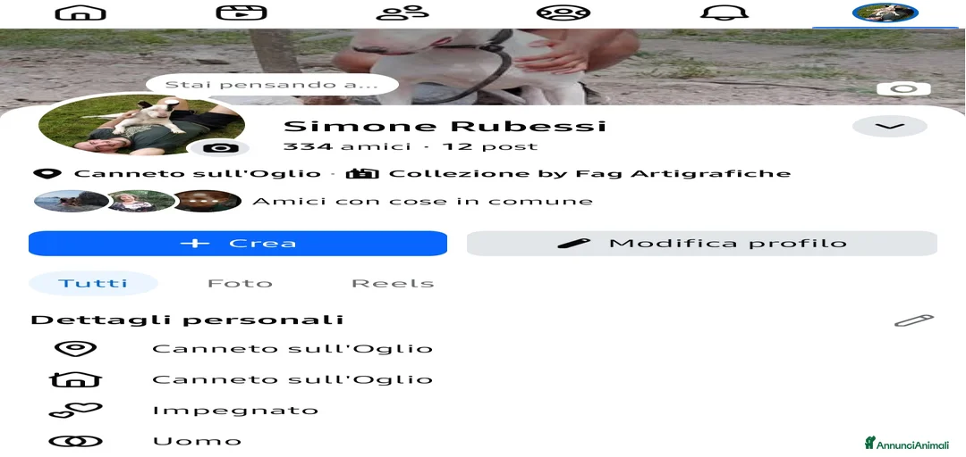 Immagine della galleria {{count}}