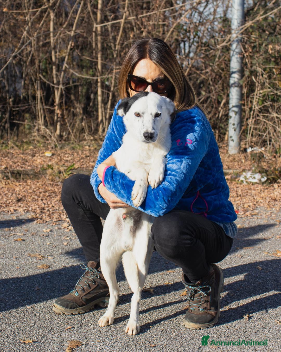 Altre razze cani in regalo: ercolino e gigina - Annuncio 4