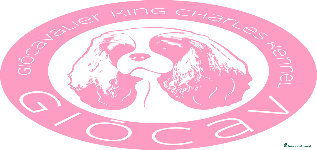 Immagine della galleria {{count}}