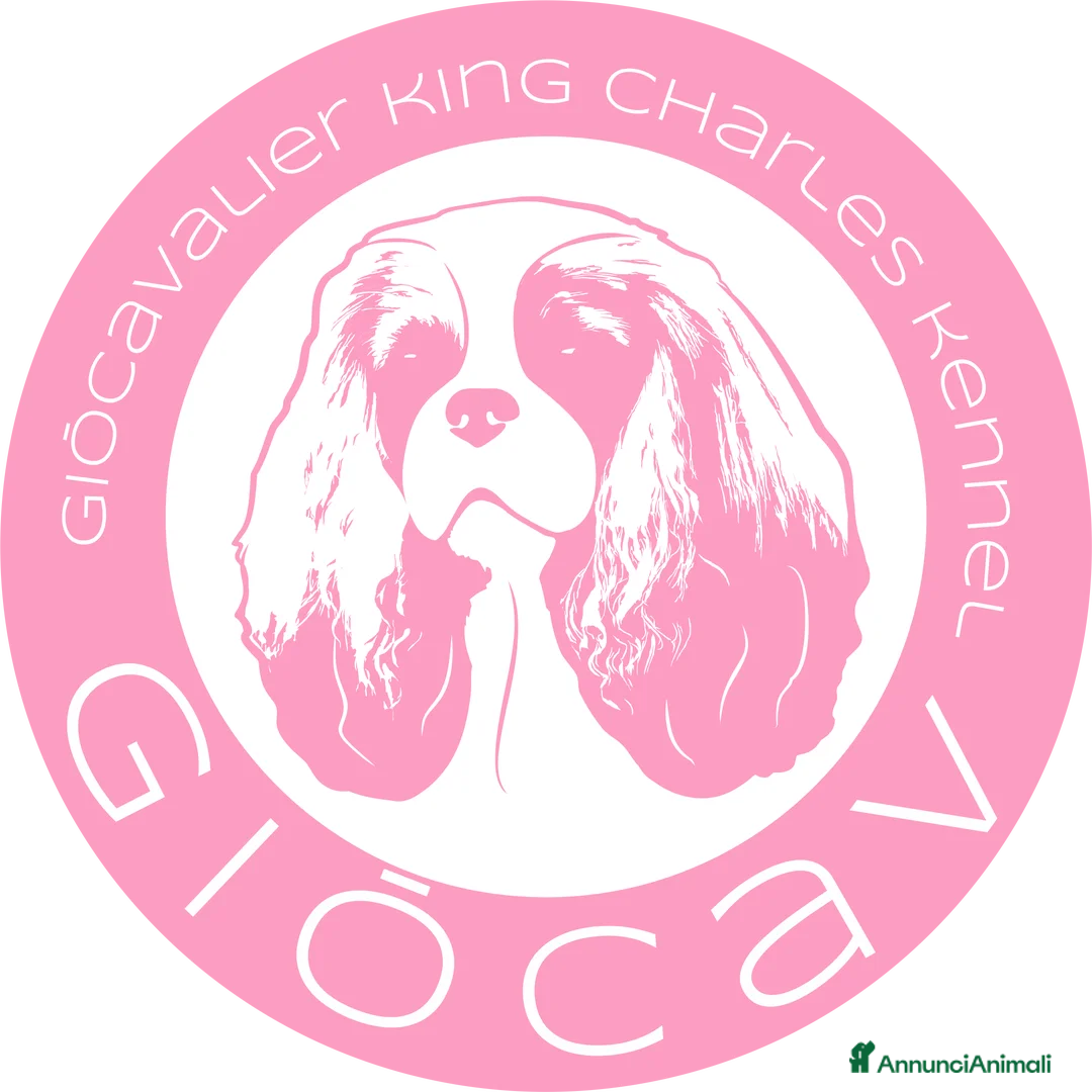 Immagine della galleria {{count}}