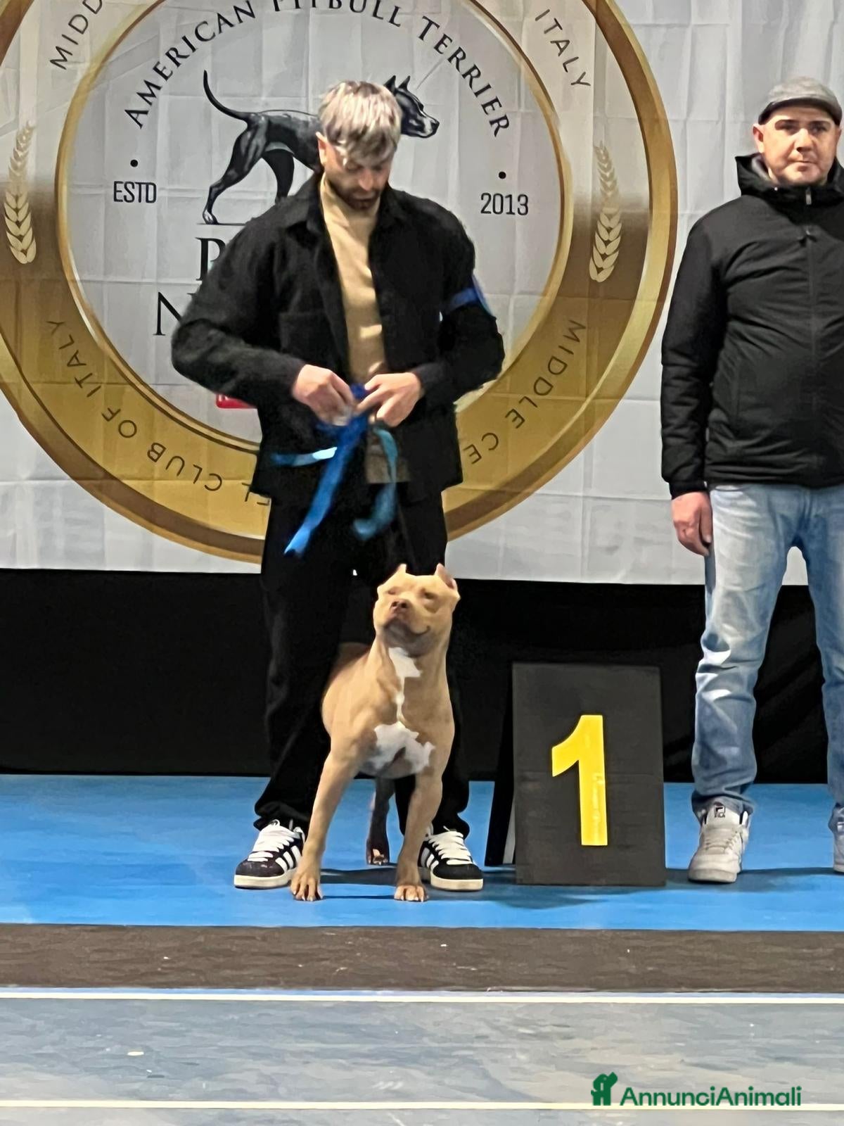 Pitbull cani in vendita: Ultime femmine Pitbull ukc  - Annuncio 6