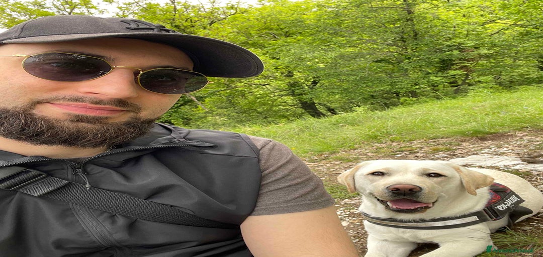 Immagine della galleria {{count}}