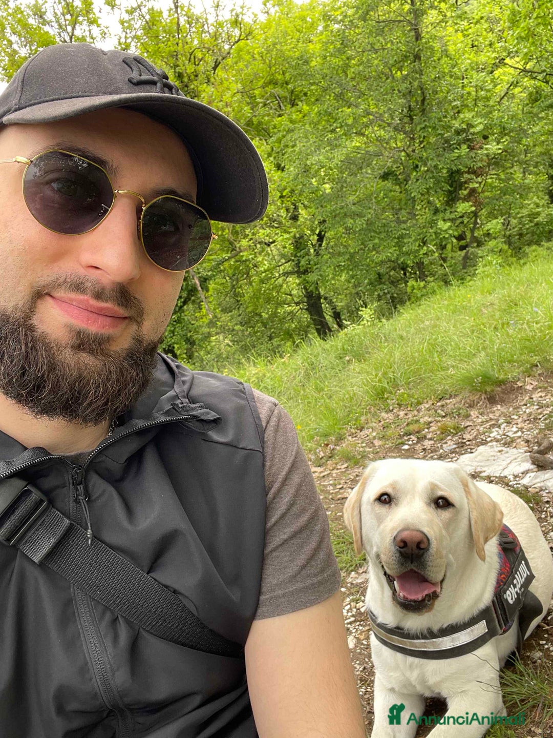 Immagine della galleria {{count}}