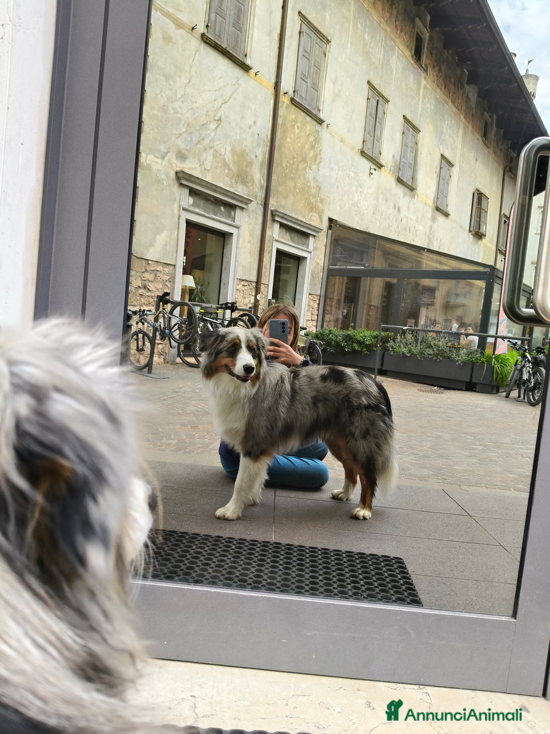 Immagine della galleria {{count}}