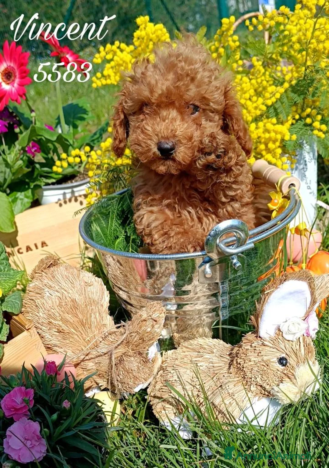 Immagine della galleria {{count}}