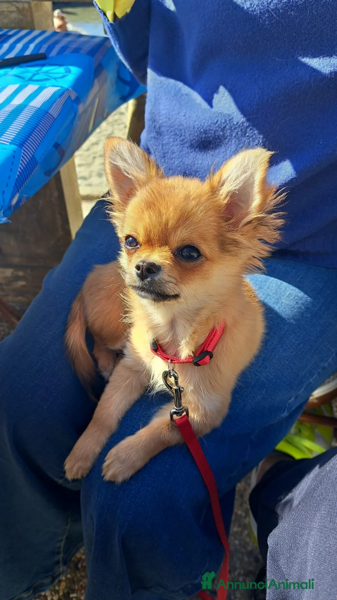 Immagine della galleria {{count}}