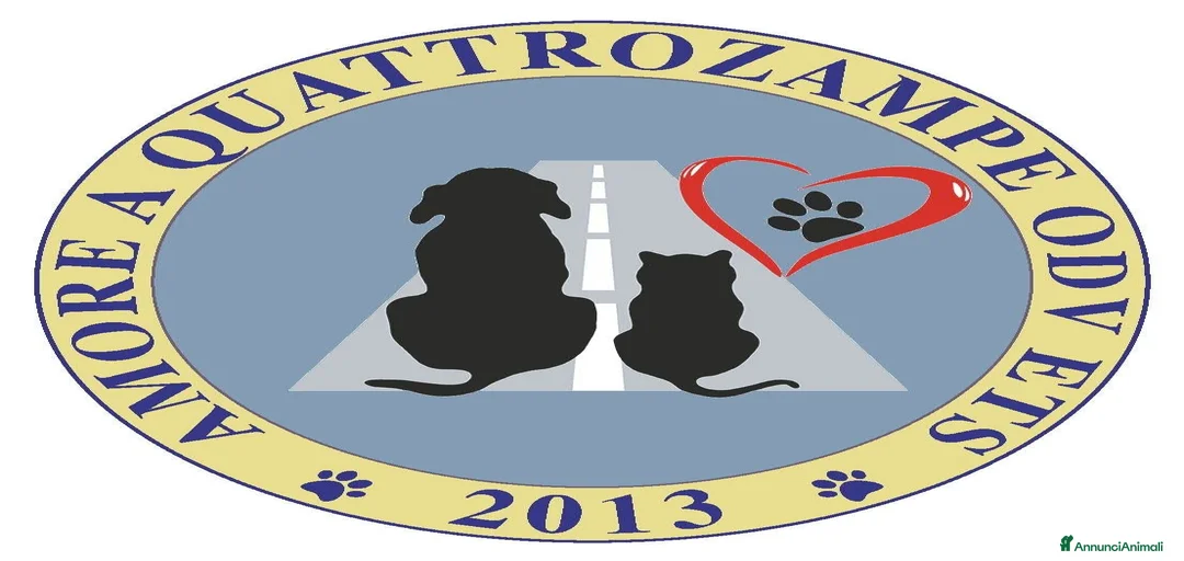 Immagine della galleria {{count}}