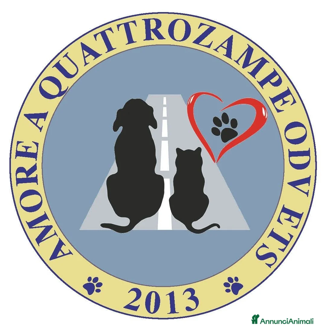 Immagine della galleria {{count}}