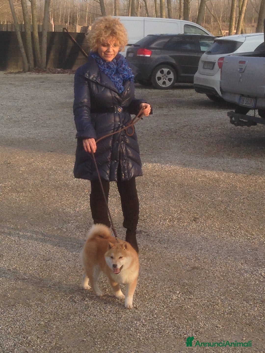 Immagine della galleria {{count}}