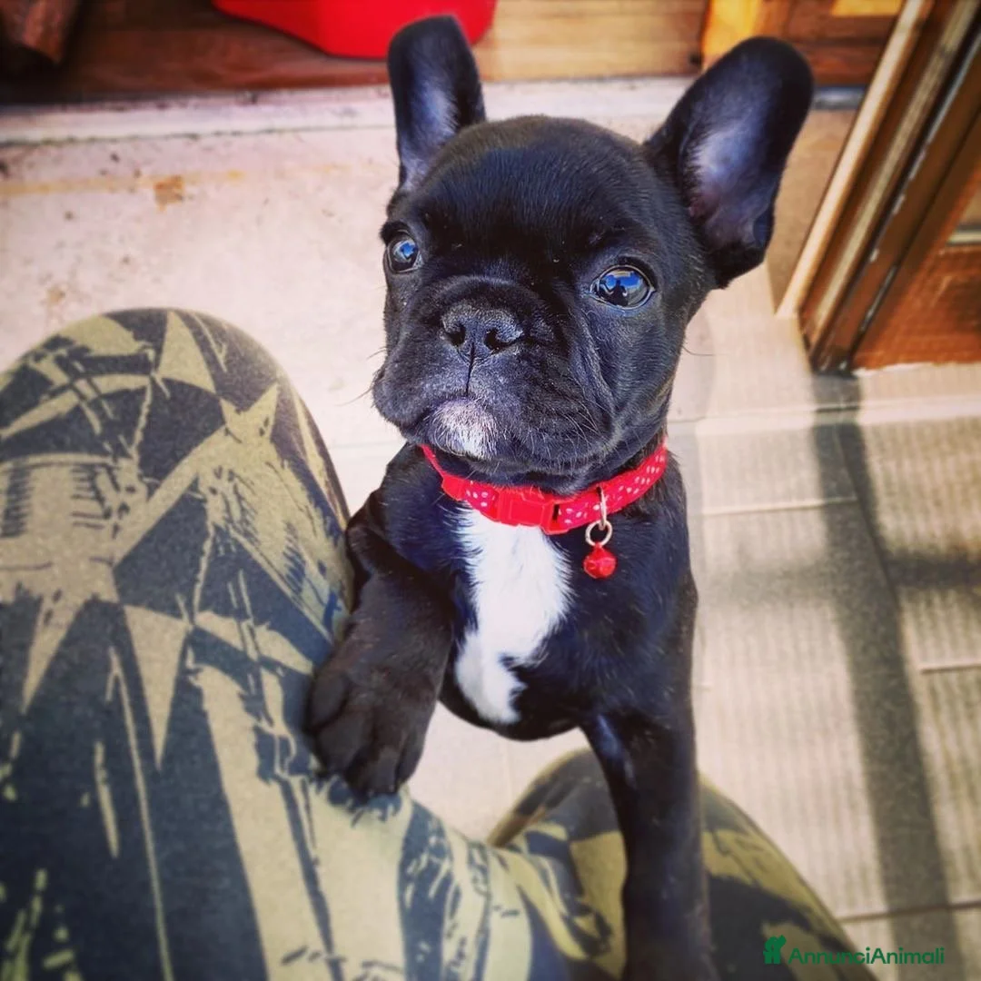 Immagine della galleria {{count}}