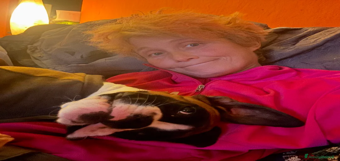 Immagine della galleria {{count}}