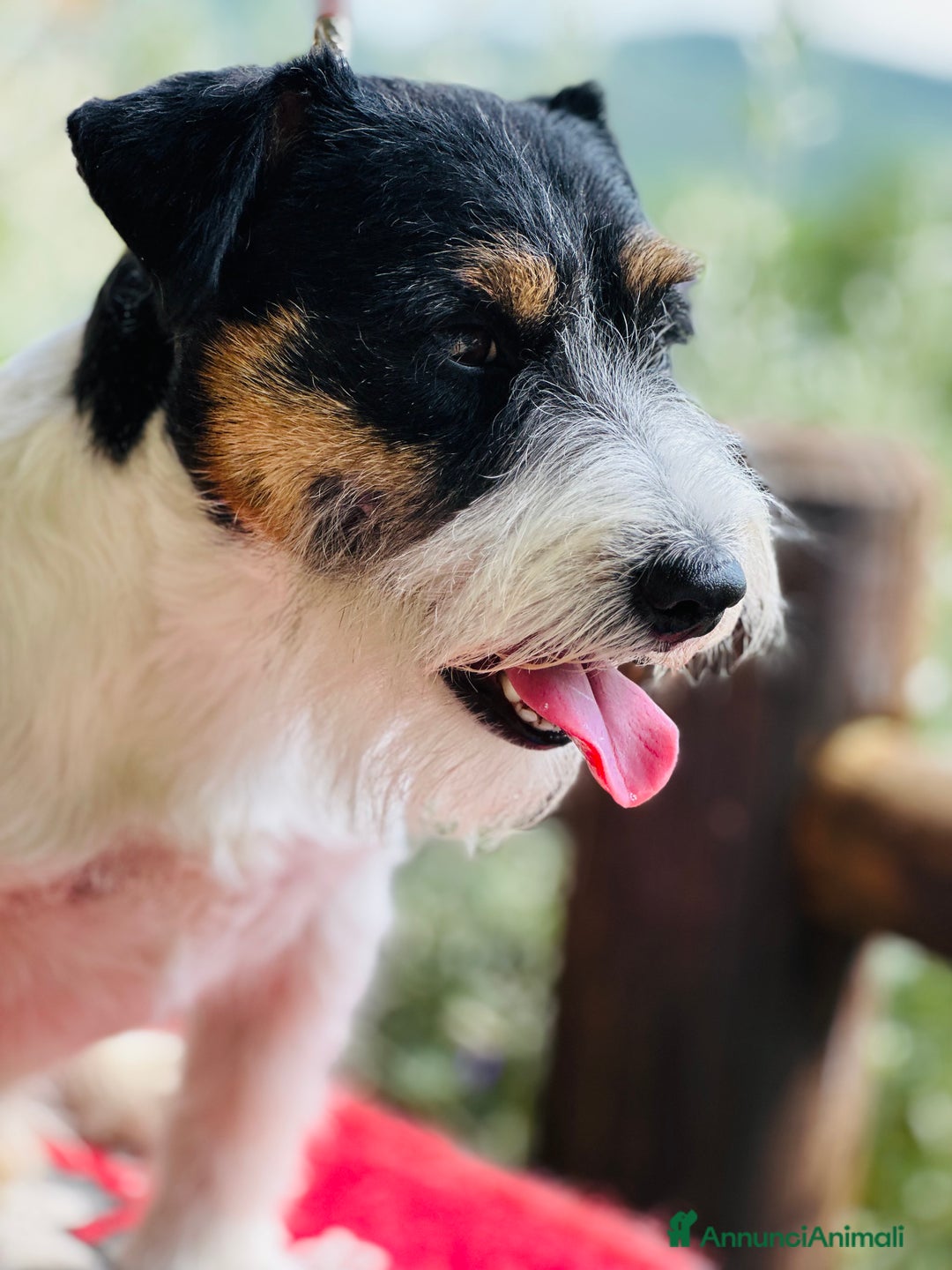 Immagine della galleria {{count}}