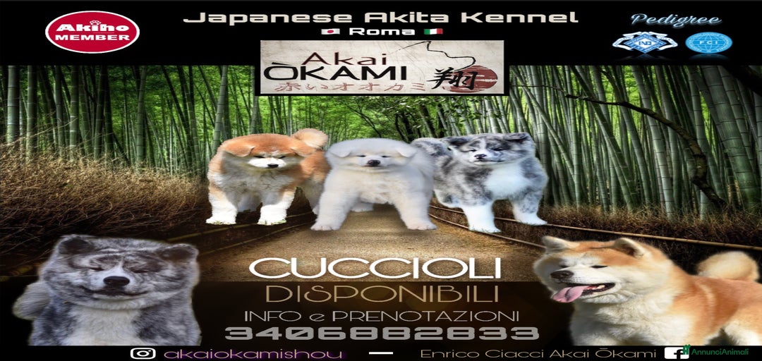 Immagine della galleria {{count}}