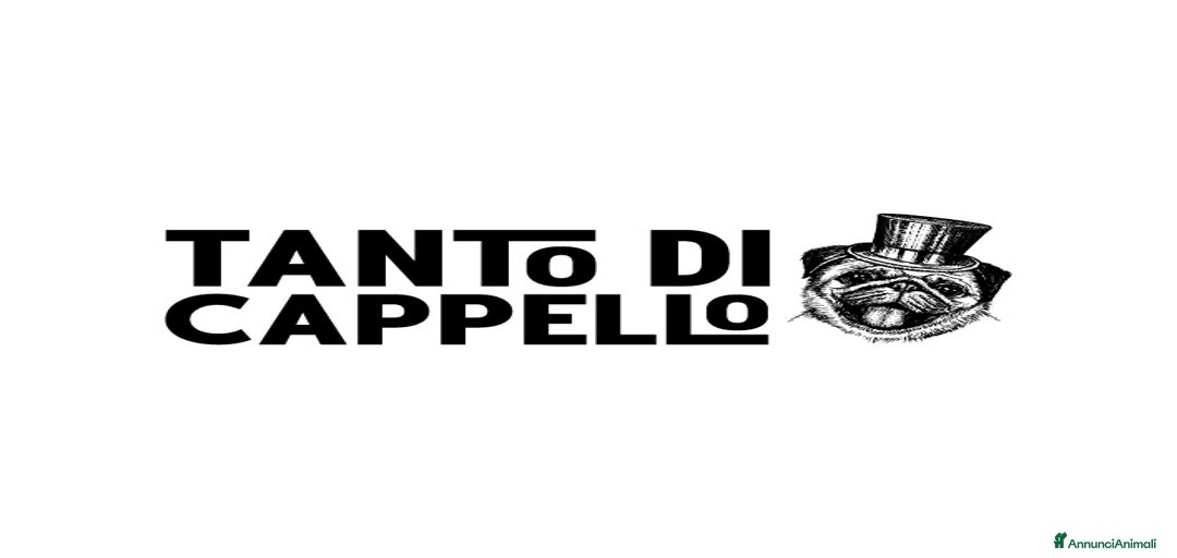 Immagine della galleria {{count}}