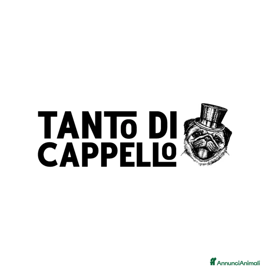 Immagine della galleria {{count}}